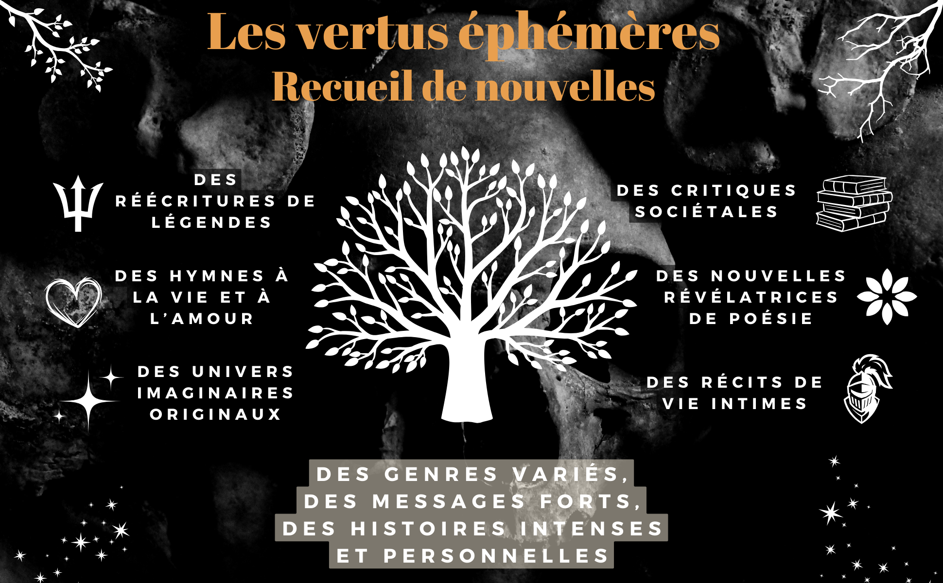 Les vertus ephemeres Contenu Amazon A 1