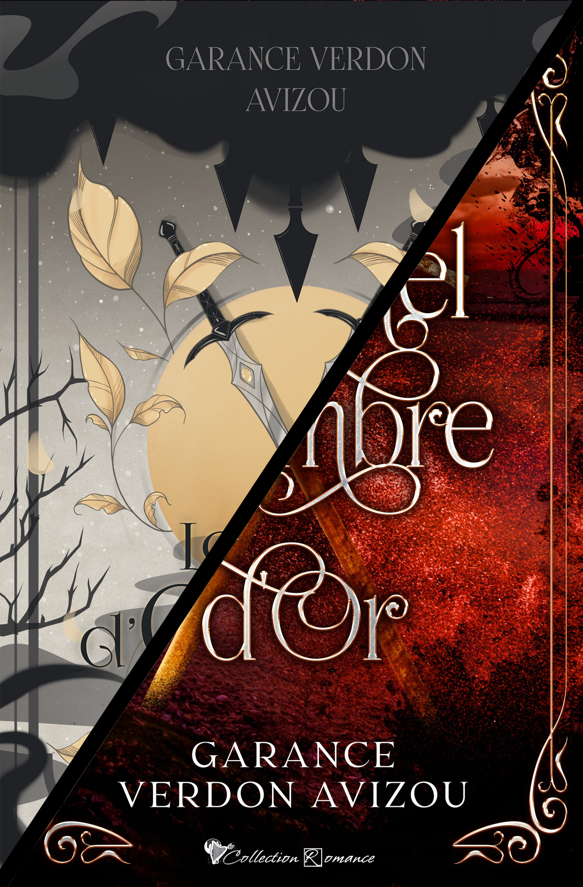 le duel d'ombre et d'or fusion