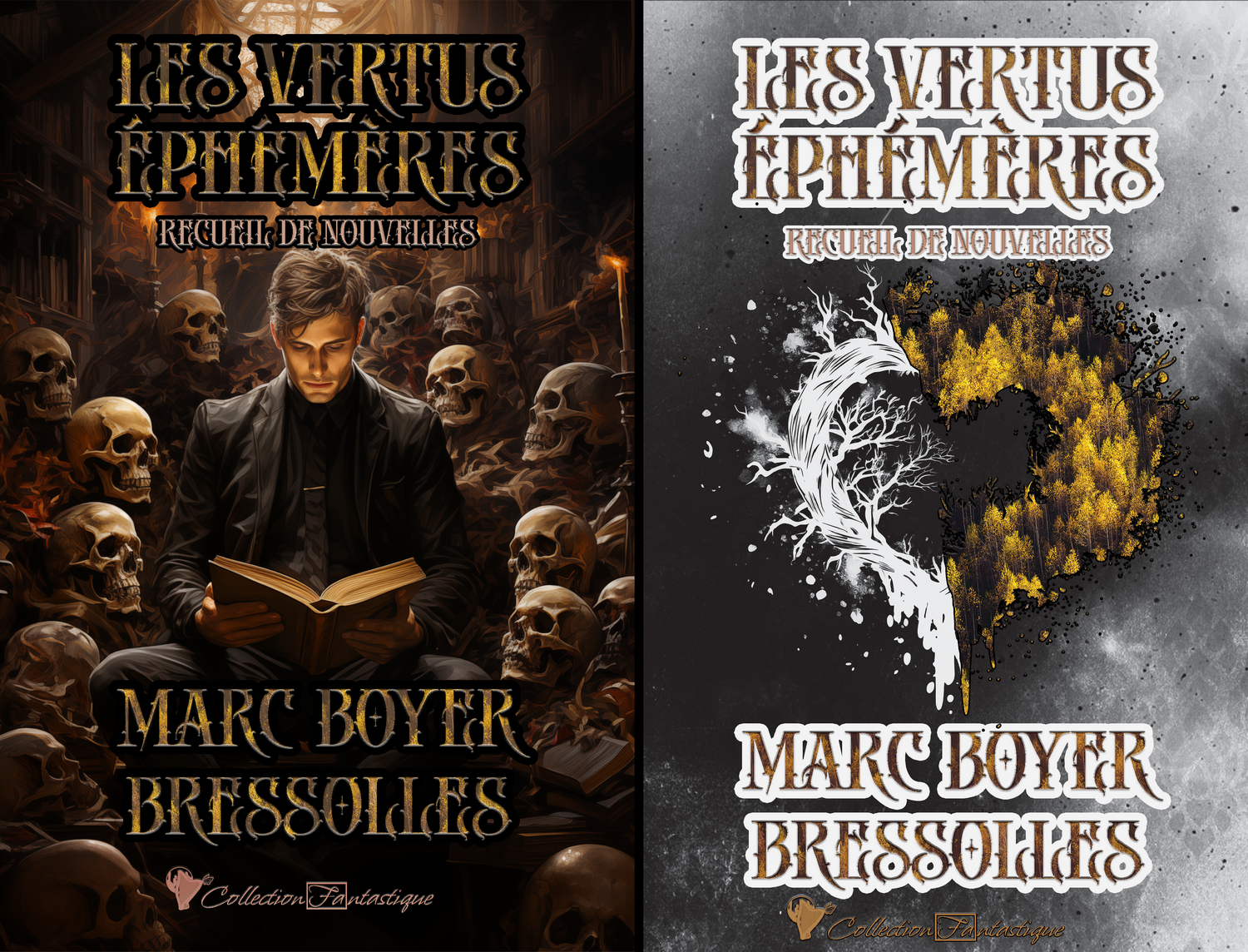 Les vertus ephemeres double
